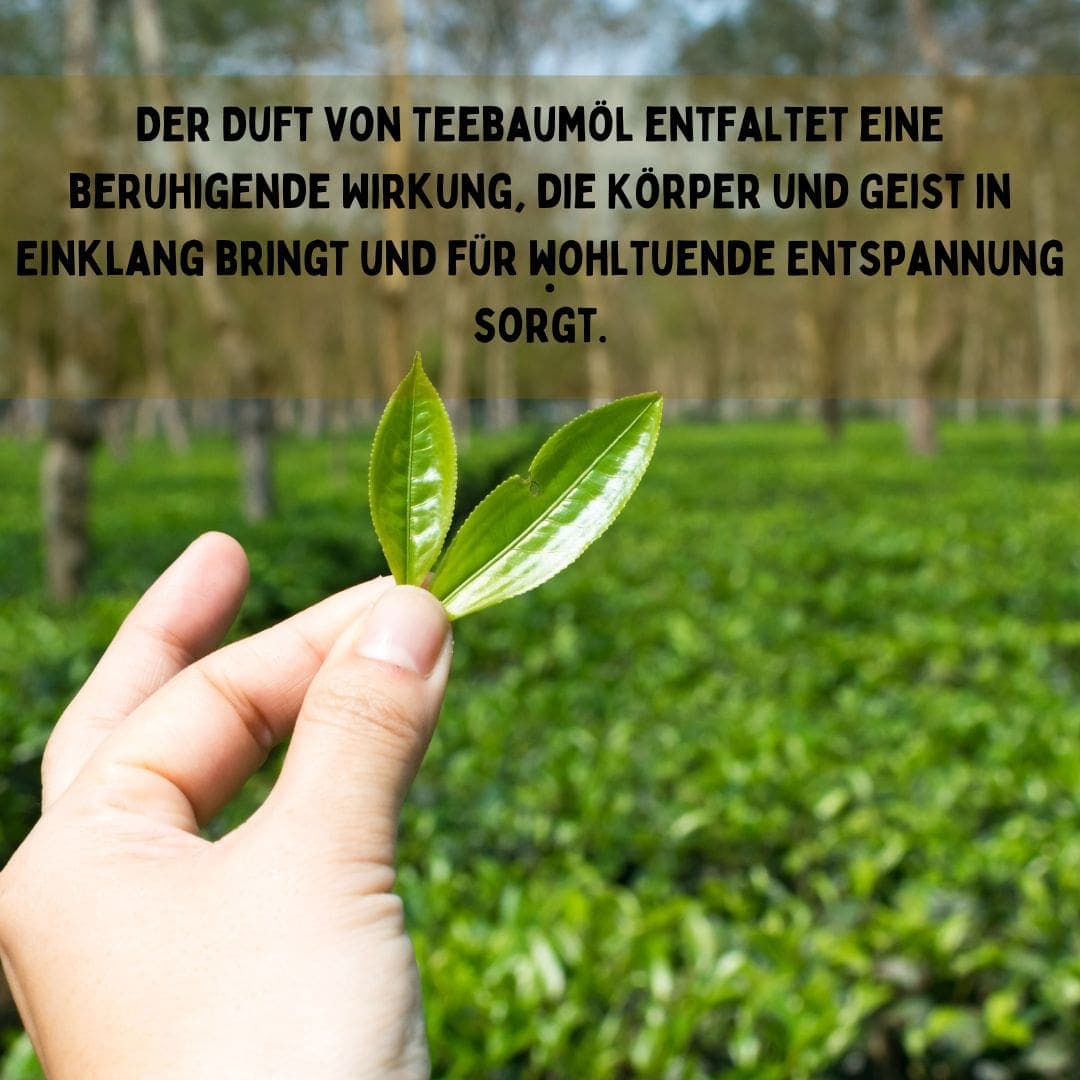 Der Duft von Teebaumöl entfaltet eine beruhigende Wirkung, die Körper und Geist in Einklang bringt und für wohltuende Entspannung sorgt.Ich zeige dir, wie du ätherische Öle am besten einsetzt.